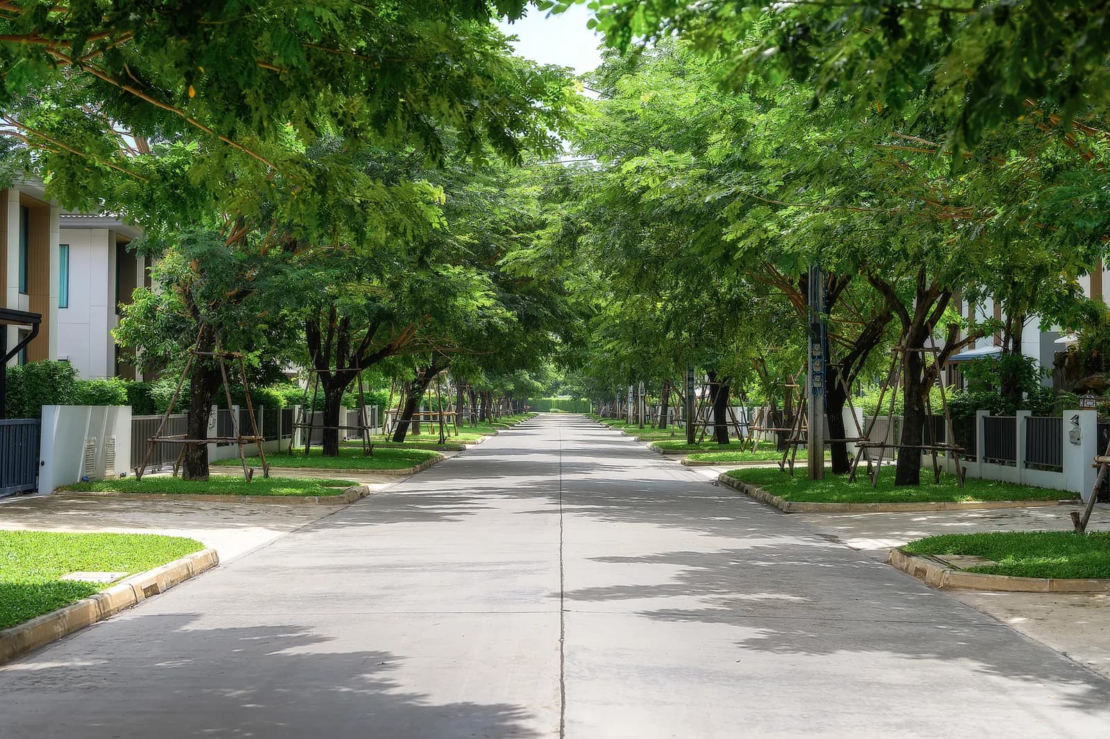 Saransiri ศรีวารี — 14