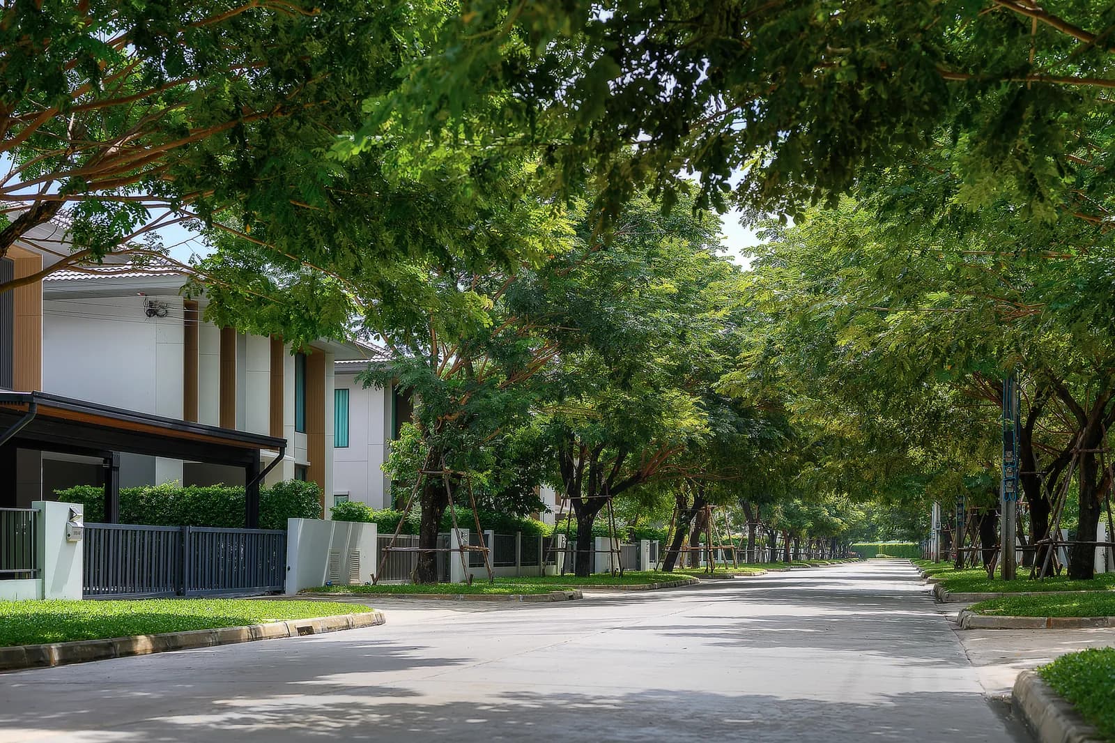 Saransiri ศรีวารี — 15